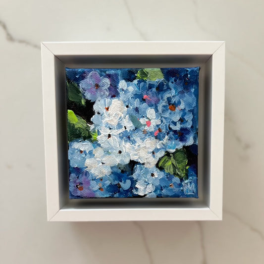 Hydrangea Blues #1