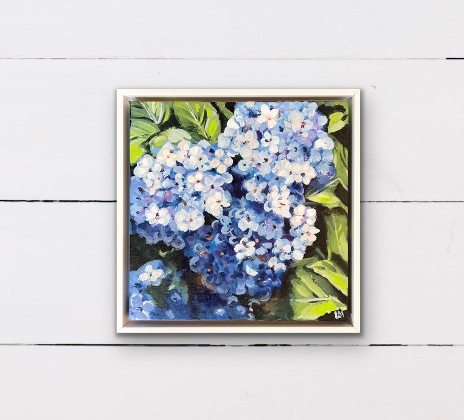 Hydrangea Blues #6